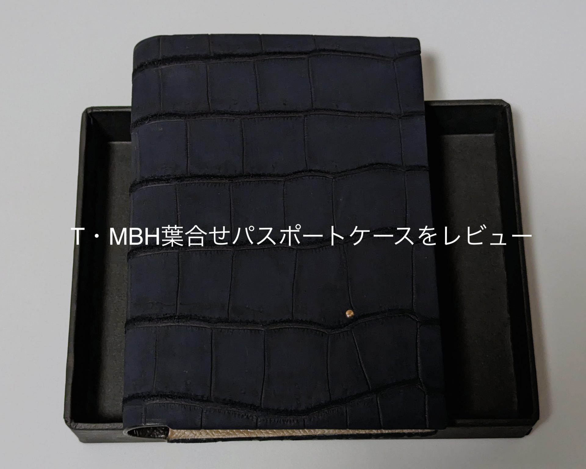 TMBH_passportcase_3